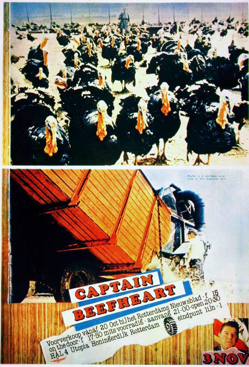 Captain Beefheart + Suspect